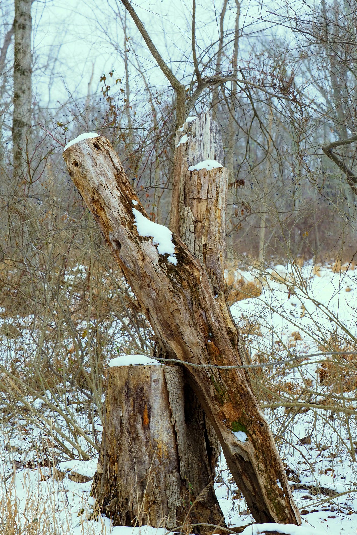 pic